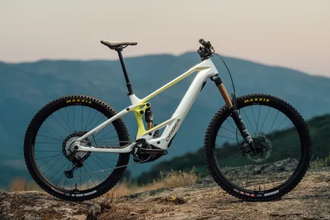 ORBEA WILD25 BIKECHECKS 175 466 x 311